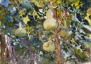Gourds